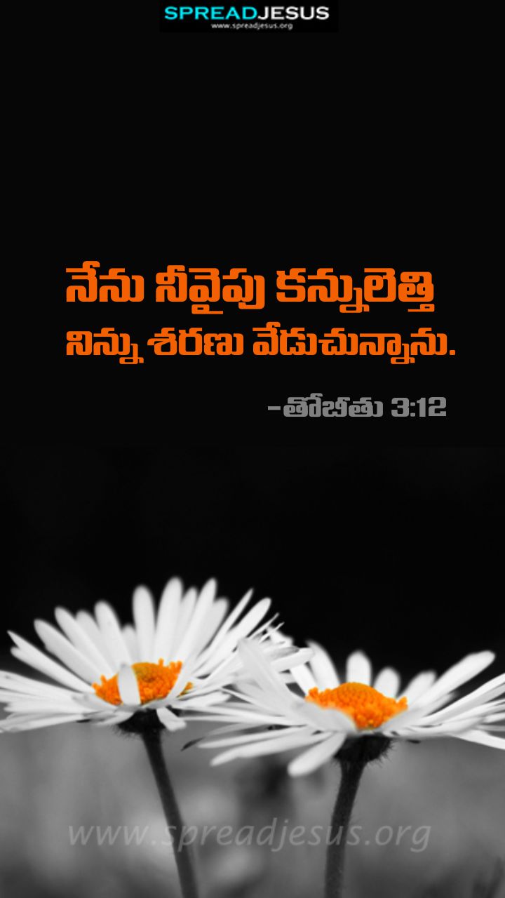 Telugu Quotes WhatsApp Status Bible Verses Mobile Wallpapers Collection Tobit 3:12