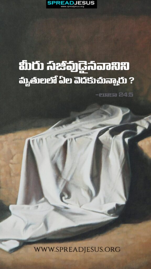 Telugu Quotes WhatsApp Status Bible Verses Mobile Wallpapers Collection luke 24:5
