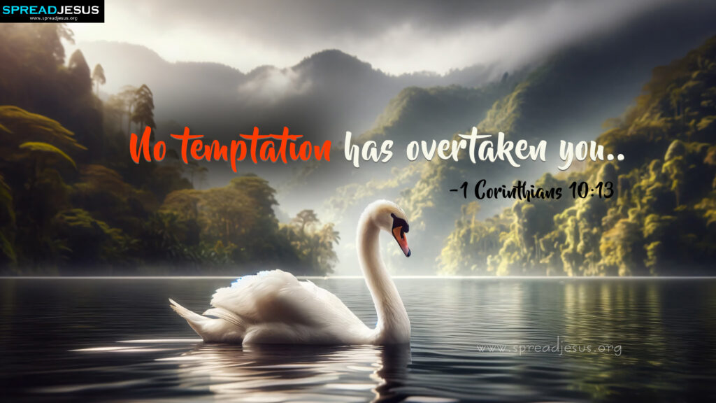 Bible Verses 1 Corinthians 10:13 HD Wallpapers Download  Bible Quotes Images